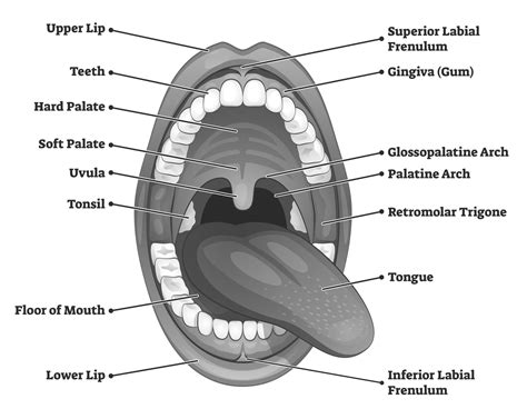 xxx video mouth|mouth videos .